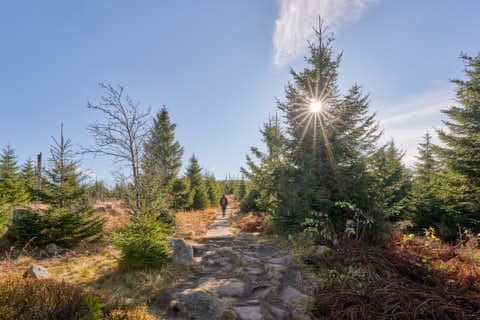 Gemeinde Neureichenau Landkreis Freyung-Grafenau Plöckenstein (Dirschl Johann) Deutschland FRG